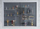 display case 2